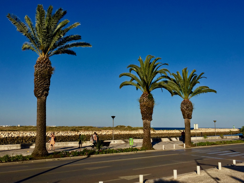 FPM_Algarve