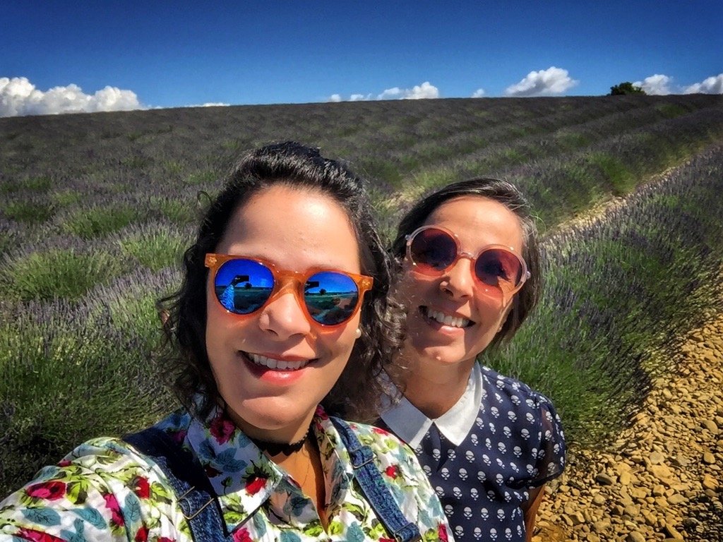Como Visitar Os Campos De Lavanda Na Provence Tudo O Que Voce Precisa Saber Freitas Para O Mundo